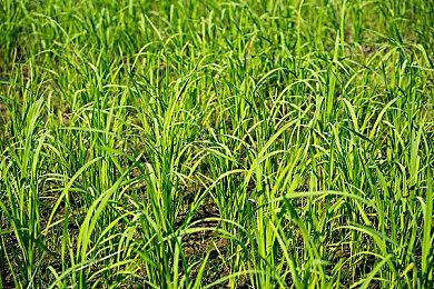 《传送门》编剧：想开发3代 自己正在变老